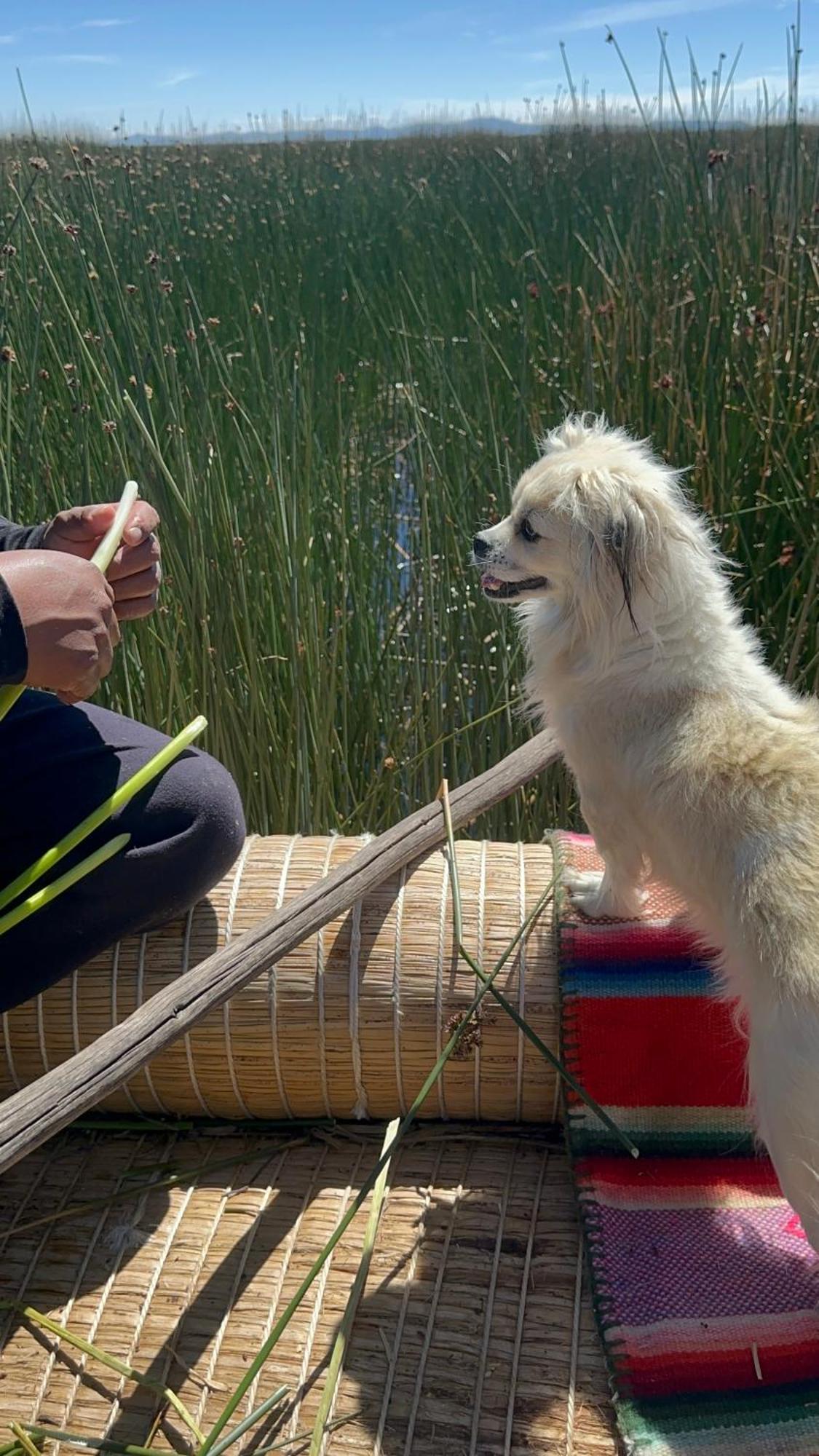 Uros Waliski Lodge Puno Eksteriør billede